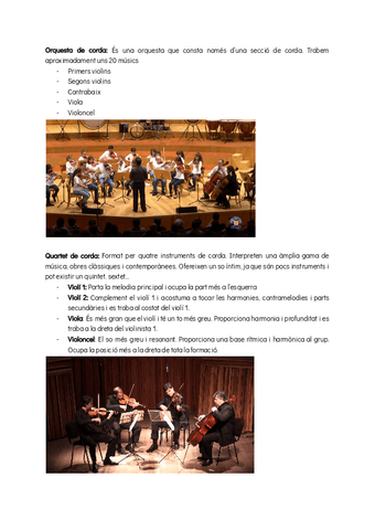 Examen-musica-formacio-musical.pdf