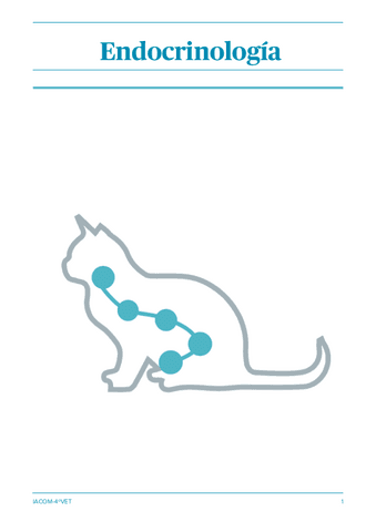 Endocrinologia-2324.pdf