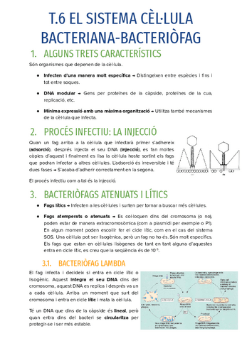 T.6-EL-SISTEMA-CELLULA-BACTERIANA-BACTERIOFAG.pdf