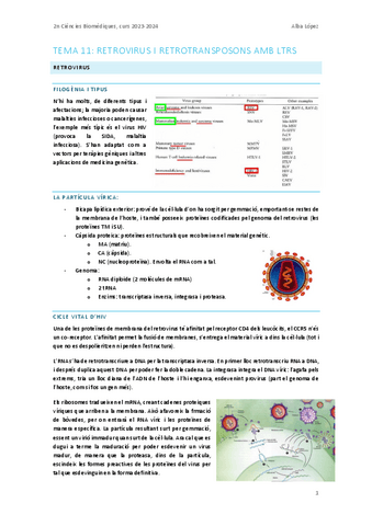 Tema-11.-Transposicio-II.pdf
