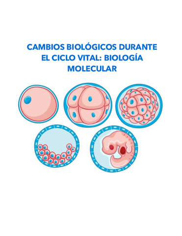 CAMBIOS-BIOLOGICOS-1ER-EXAMEN.pdf