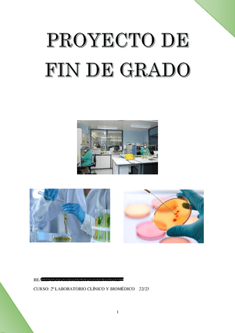 Proyecto-Final-de-Grado.pdf