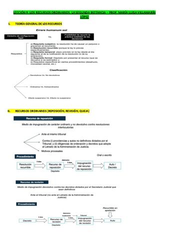 LECCION-9.-LOS-RECURSOS-ORDINARIOS.-LA-SEGUNDA-INSTANCIA.pdf