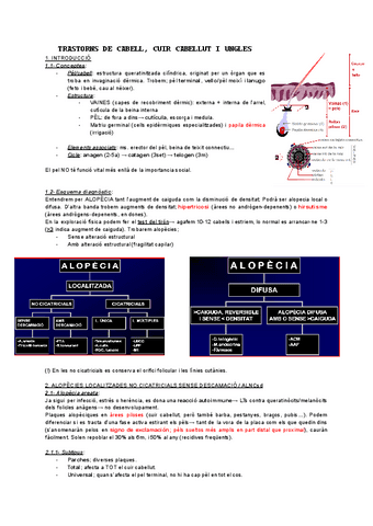 Cabell-i-ungles-T12.pdf