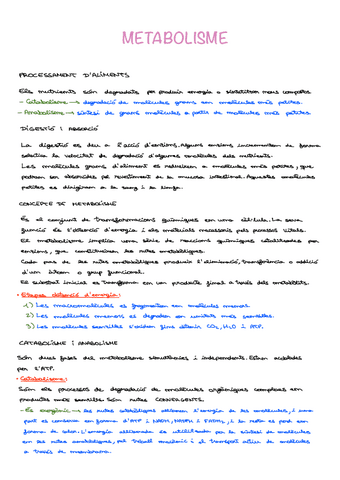 T7-METABOLISME.pdf