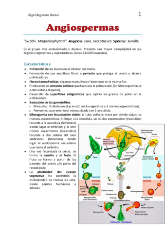 1. Resumen Angiospermas.pdf