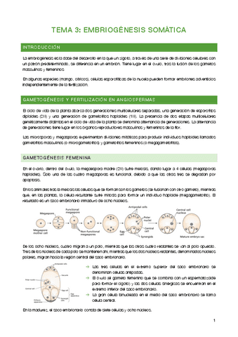 Tema-3-Embriogenesis-somatica.pdf