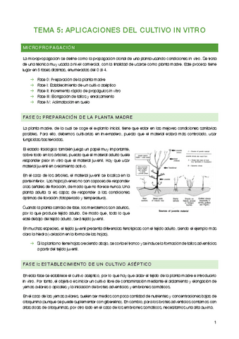 Tema-5-Aplicaciones-del-cultivo-in-vitro.pdf