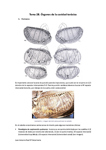 Tema-2B.pdf
