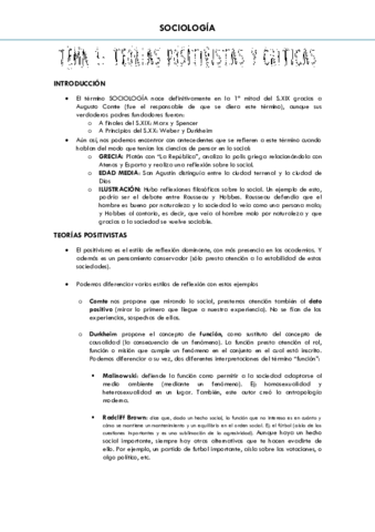 1 TEORÍAS POSITIVISTAS Y CRÍTICAS.pdf
