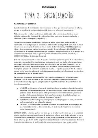 2 SOCIALIZACIÓN.pdf