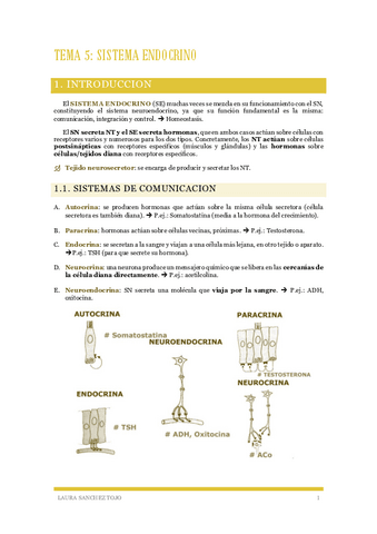 Tema-5-Sistema-endocrino.pdf