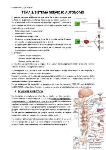 TEMA-5-Fisiologia-bloque-1.pdf