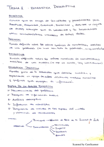 Estadistica Tema 1 (Teoria y Ejercicios).pdf