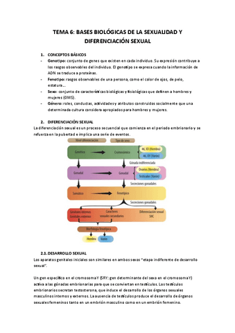 Tema-6.-Bases-Biologicas-de-la-Sexualidad-y-Diferenciacion-Sexual.pdf
