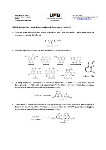 P3-Acids-grassos-i-policetids.pdf