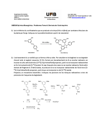 P4-Derivats-acid-xiquimic.pdf