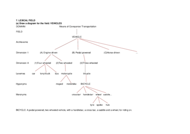 7 PARTE PRÁCTICA SEMÁNTICA.pdf