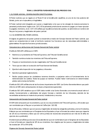 TEMA 1. Conceptos fundamentales del proceso civil.pdf