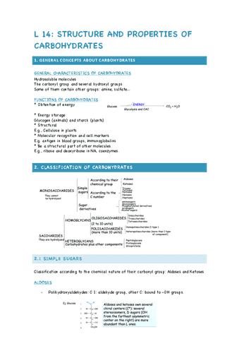 L14-STRUCTURE-AND-PROPERTIES-OF-CARBOHYDRATES.pdf