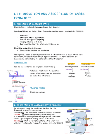 L15-DIGESTION-AND-ABSORPTION-OF-CARBOHYDRATES.pdf