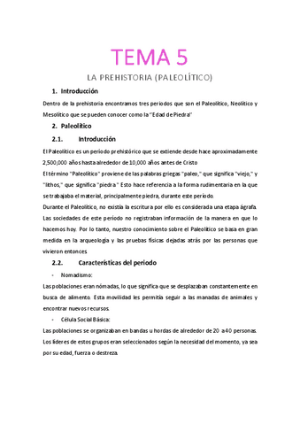 TEMA-5-Paleolitico.pdf