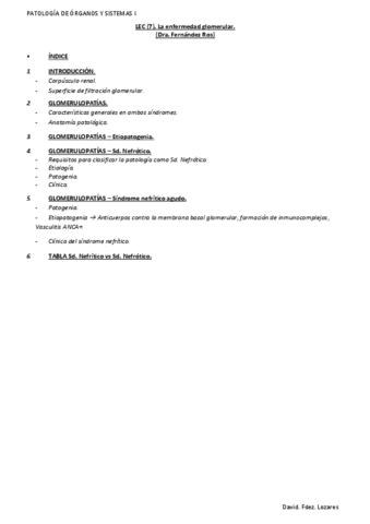 LEC-7.-La-enfermedad-glomerular..pdf