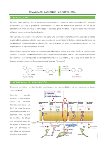 Tema-8-Modulacion-de-la-distribucion.pdf