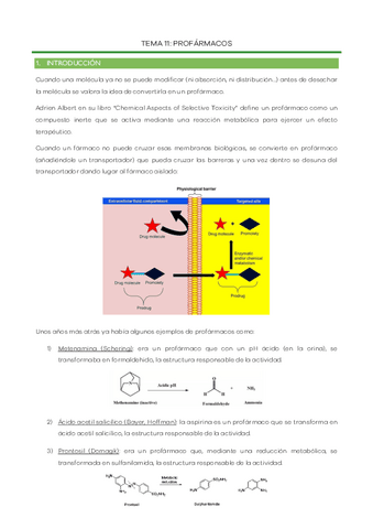 Tema-11-Profarmacos.pdf