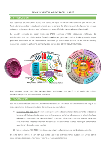 Tema-13-Vesiculas-extracelulares.pdf