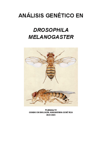 trabajo-Drosophila.-problema-14.pdf