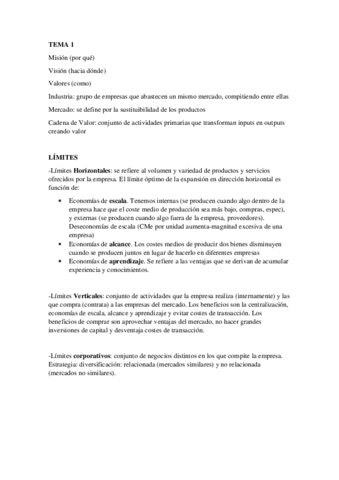 APUNTES-ESTRATEGIA-T1-T4 PRIMER PARCIAL.pdf
