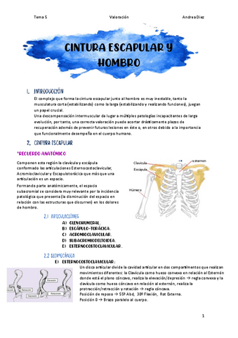 TEMA-5-Cintura-escapular-y-hombro.pdf