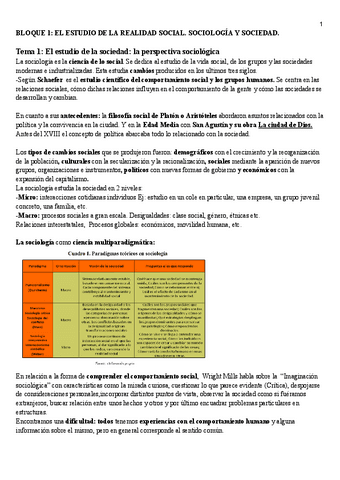 TEMA-1-Y-2-BLOQUE-1.pdf