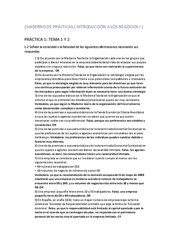 PRACTICA-DE-NEGOCIOS.pdf