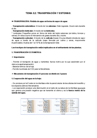 TEMA-3.2-TRANSPIRACION-Y-ESTOMAS.pdf
