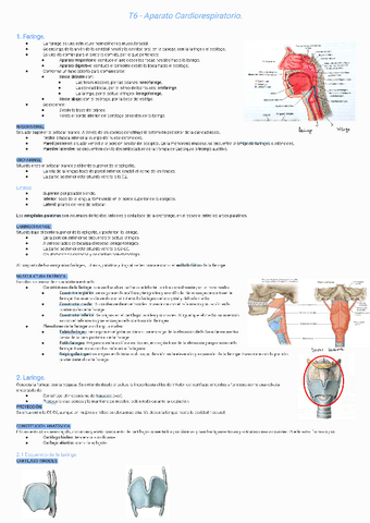 T6-Aparato-Cardiorespiratorio231102143718.pdf