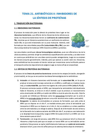 Farma-tema-21.pdf