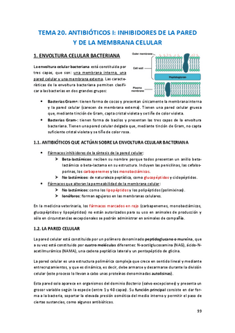 Farma-tema-20.pdf