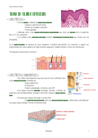 TEMA-11-BIOLOGIA.pdf
