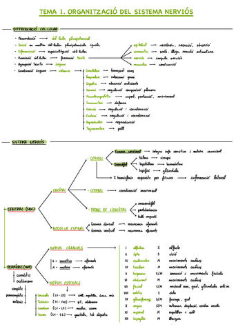 Esquemes-P1-fisio.pdf