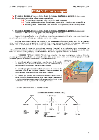 TEMA-5/6-Rocas-y-magma.pdf