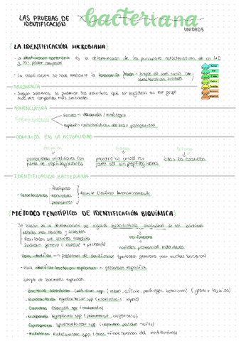 U5.-Las-pruebas-de-identificacion-bacteriana.pdf