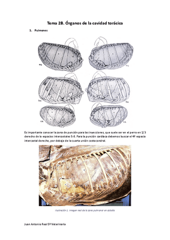 Tema-2B-Corregido.pdf