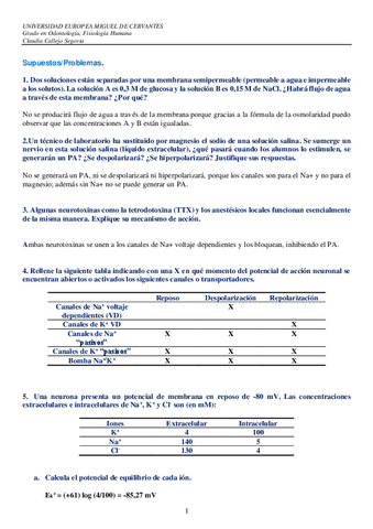 Supuestos-T1-T3-Ccallejo-segovia.pdf