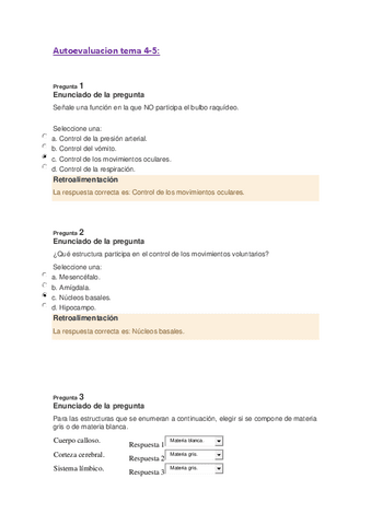 autoevaluacion-tema-4-5.pdf