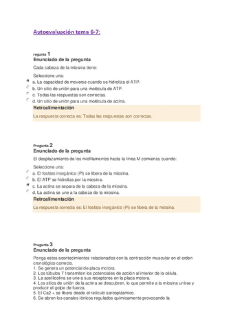 Autoevaluacion-tema-6-7.pdf
