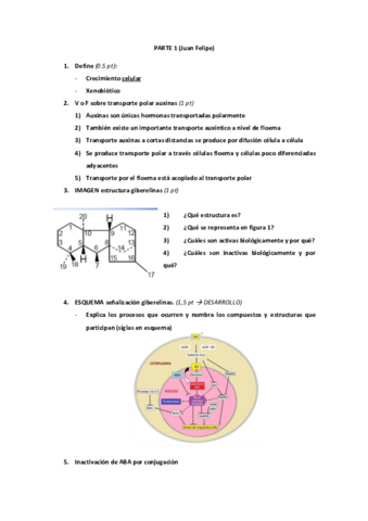 EXAMEN FV2 2018_Junio 2º llamamiento.pdf