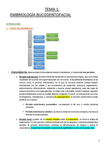 TEMA-1-EMBRIOLOGIA..pdf