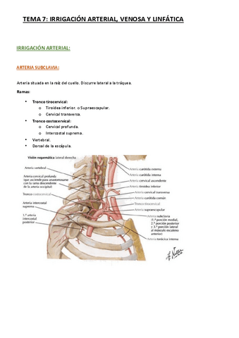 TEMA-7-IRRIGACION.pdf